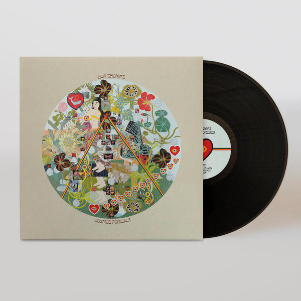 cosmos2_grande.jpg?v=1734846961