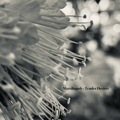 Marcibagoly // Tender Desires CDr