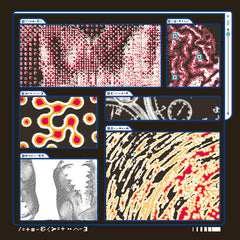 Saapato + Various Artists // Decomposition: Fox on a Highway TAPE