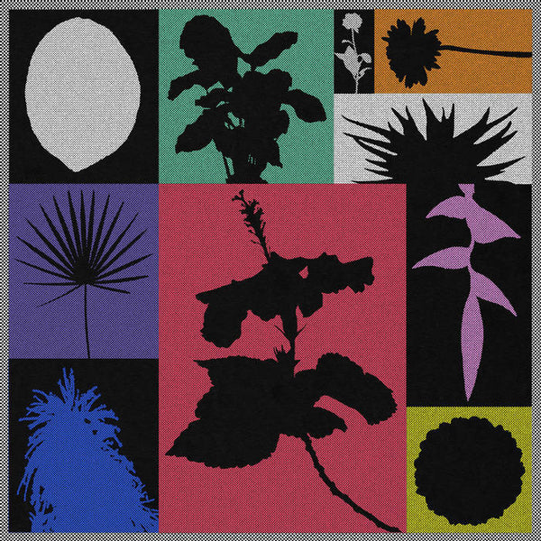 Munjebel // Demi-Monde LP – Tobira Records