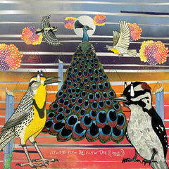 jaimie branch // Fly or Die Fly or Die Fly or Die ((world war)) LP