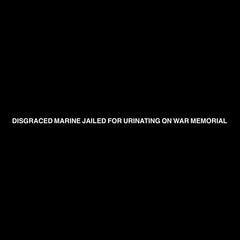 Quiet Husband // Disgraced Marine Jailed For Urinating On War Memorial 7inch