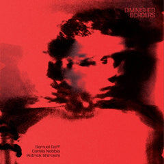 Samuel Goff/Camila Nebbia/Patrick Shiroishi // Diminished Borders TAPE / CD