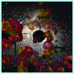 Drape // Ecstatic Truth LP