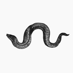 Hyunhye Seo // Eel CD