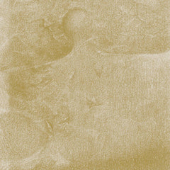 Siavash Amini // Eidolon CD