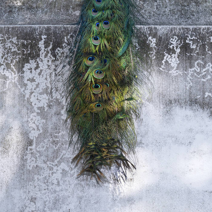 Giovanni Lami // Eikon LP