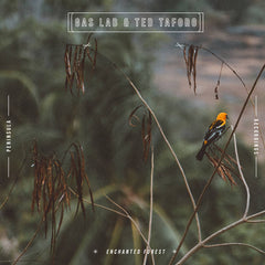 Gas Lab & Ted Taforo // Enchanted Forest TAPE