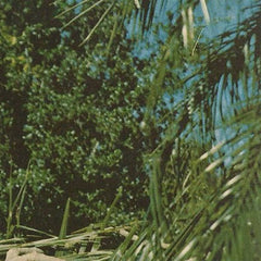 Eurovisione // V TAPE