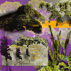 A2iCE & BO3 // Extracted Soil 12"