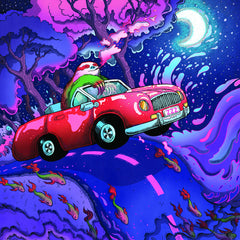 Holland Patent Public Library // Songs To Fall Asleep At The Wheel To CD / TAPE