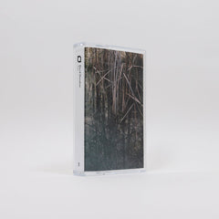 David Donohoe // Fen TAPE