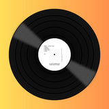 JSPRV35 // Cryptic Files 12inch