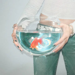 fish narc // frog song LP