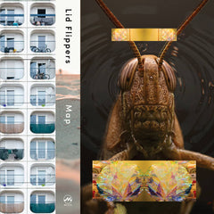 Lid Flippers // Map TAPE