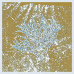 Huerco S. // For Those Of You Who Have Never (And Also Those Who Have) 2xLP