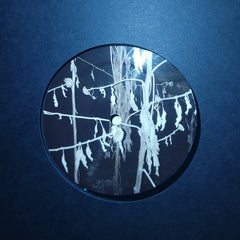 litüus // forever LP