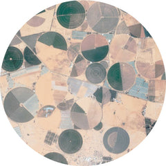 Forest Drive West // Recursion EP 12inch