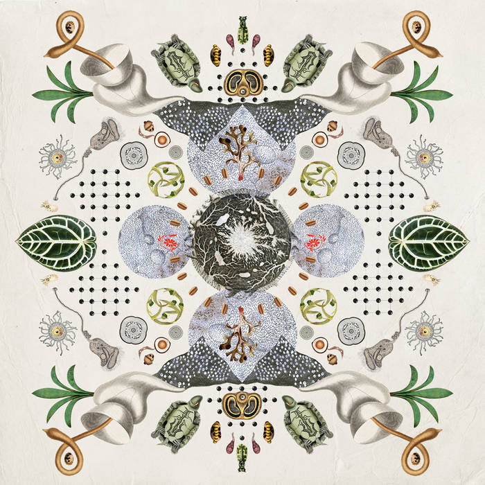 Grykë Pyje // Fragments Of High Sensitivity LP