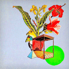Fred Thomas // Critical Violets, Dream Erosion Pt. VII TAPE