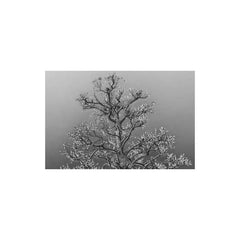 Kazuya Ishigami // Frozen Memories TAPE