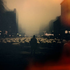 Black Swan // From the End of Time LP