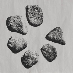 Dyslecta // Fulcrum 12inch