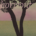 funcionário // horizonte LP