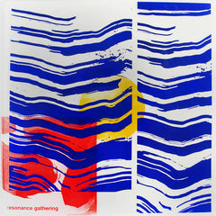 Pauline Oliveros, IONE, Christopher Willes, Public Recordings and others // Resonance Gathering 2xLP+FLEXI DISC
