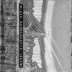 Miser // Geomagnetic Jerks TAPE