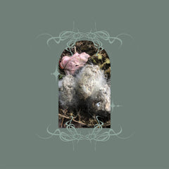Ben Bondy // Glans Intercum LP
