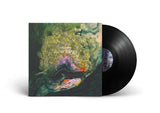 Lake Mary // Slow Grass LP
