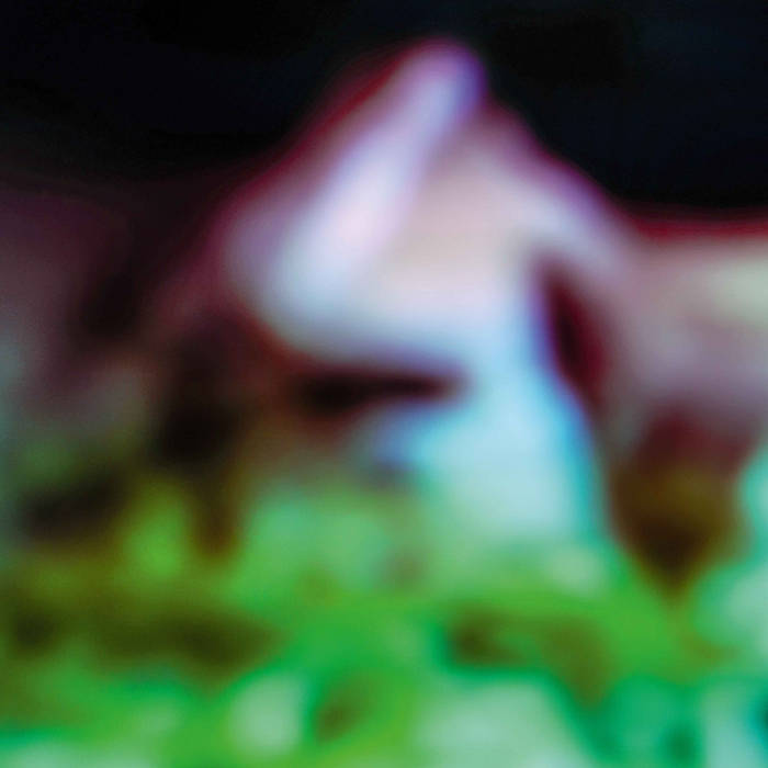 Hair & Treasure // Disc Rot LP