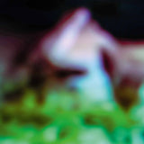 Hair & Treasure // Disc Rot LP