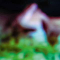 Hair & Treasure // Disc Rot LP