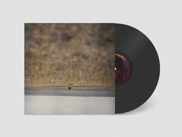 Jim O'Rourke // Hands That Bind (Original Motion Picture