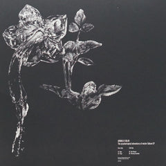 Andrea Ferlin // The psychotropical adventures of mister Gibson EP 12inch