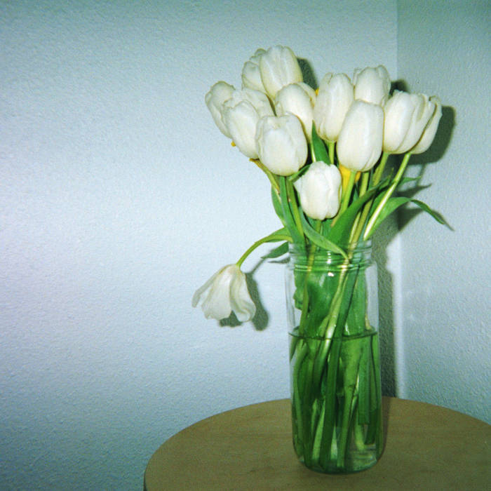 claire rousay // a heavenly touch LP