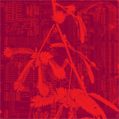 Hidden Horse // Incorporeal LP