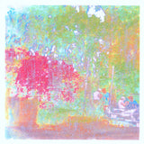 if i die in mississippi // holographic heartache TAPE