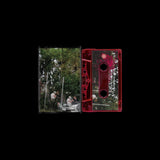 if i die in mississippi // holographic heartache TAPE