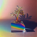 The Starless Oracle // Holographic Oasis TAPE