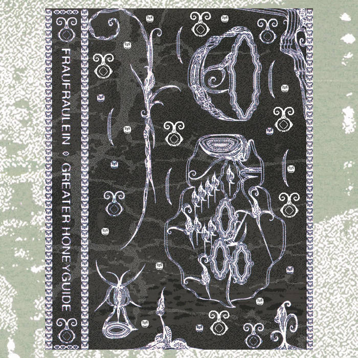 fraufraulein // greater honeyguide TAPE