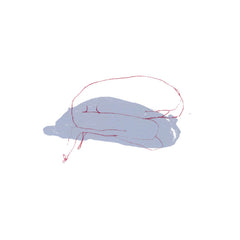 stijn hüwels // If you remember me then I don't care if everyone else forgets TAPE