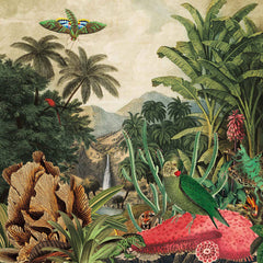 Lagoss // Imaginary Island Music Vol.1: Canary Islands LP