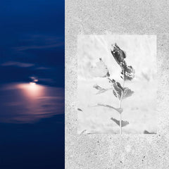 I-SM // Split Image TAPE