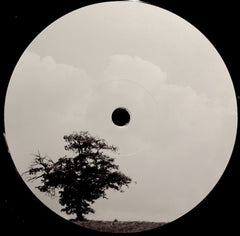 Eversines // In Vivid Motion 2x12"