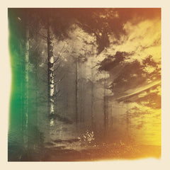 Deli Kuvveti // In the Summer Dusk CD