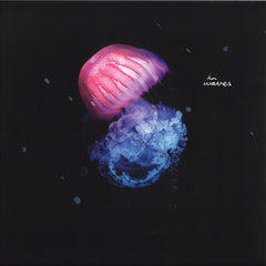 Draso // The Moment Is Forever 12"