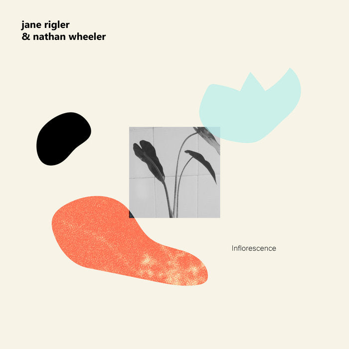 Jane Rigler & Nathan Wheeler // Inflorescence TAPE
